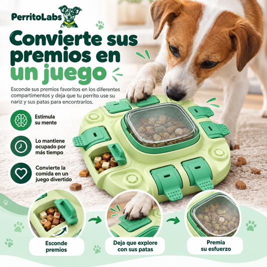Perrito Labs Puzzle Mental