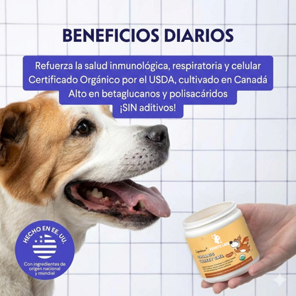 Perrito Labs Cola de Pavo Orgánica -